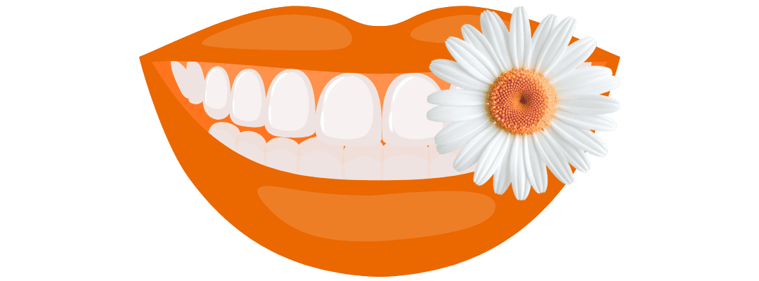 Client SeeSmile